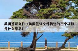 美国签证文件（美国签证文件传送的三个项都是什么意思）