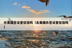 办美国签证查征信吗（去美国办签证查征信吗）