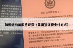 如何缴纳美国签证费（美国签证费支付方式）