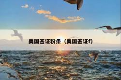 美国签证粉条（美国签证f）