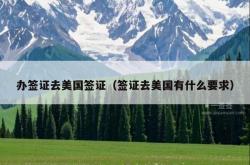 办签证去美国签证（签证去美国有什么要求）