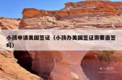 小孩申请美国签证（小孩办美国签证需要面签吗）