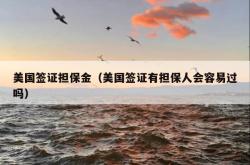 美国签证担保金（美国签证有担保人会容易过吗）