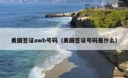 美国签证awb号码（美国签证号码是什么）