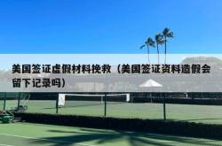 美国签证虚假材料挽救（美国签证资料造假会留下记录吗）