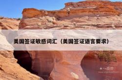 美国签证敏感词汇（美国签证语言要求）