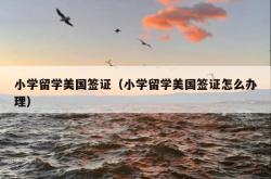 小学留学美国签证（小学留学美国签证怎么办理）