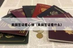 美国签证看心情（美国签证看什么）