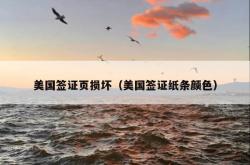 美国签证页损坏（美国签证纸条颜色）