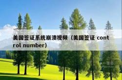美国签证系统崩溃视频（美国签证 control number）