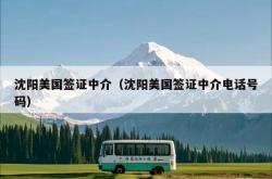 沈阳美国签证中介（沈阳美国签证中介电话号码）