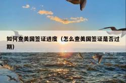 如何查美国签证进度（怎么查美国签证是否过期）