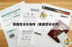 美国签证长啥样（美国签证证件）