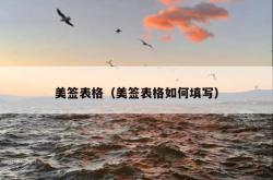 美签表格（美签表格如何填写）