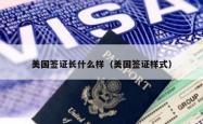 美国签证长什么样（美国签证样式）