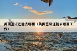 美国签证还能去哪里（美国签证还能去哪里工作）