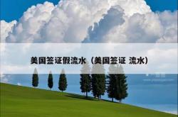 美国签证假流水（美国签证 流水）