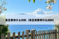 美签要带什么材料（美签需要带什么材料）