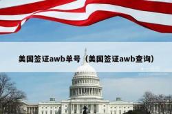 美国签证awb单号（美国签证awb查询）