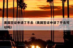 美国签证申请了不去（美国签证申请了不去可以吗）