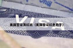美国签证发红纸（美国签证红色数字）