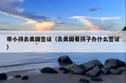 带小孩去美国签证（去美国看孩子办什么签证）