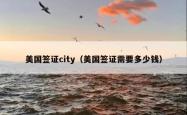 美国签证city（美国签证需要多少钱）