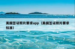 美国签证照片要求app（美国签证照片要求标准）