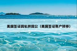 美国签证因私转因公（美国签证账户转移）
