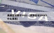 美国签证数字1011（美国签证10043什么意思）
