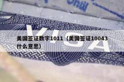 美国签证数字1011（美国签证10043什么意思）