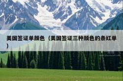 美国签证单颜色（美国签证三种颜色的条红单）
