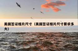 美国签证相片尺寸（美国签证相片尺寸要求多大）