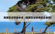 美国签证状态申请（美国签证申请状态查询）