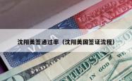 沈阳美签通过率（沈阳美国签证流程）
