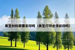 美签材料需要彩印吗（美签打印必须彩印吗）