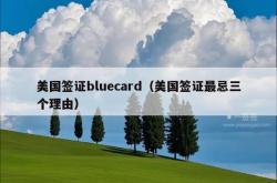 美国签证bluecard（美国签证最忌三个理由）