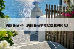 美国签证H3（美国签证护照状态查询网址）