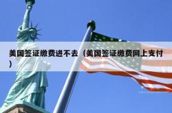 美国签证缴费进不去（美国签证缴费网上支付）