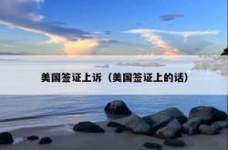 美国签证上诉（美国签证上的话）