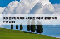 美国签证延期费用（美国签证申请延期被拒有什么后果）