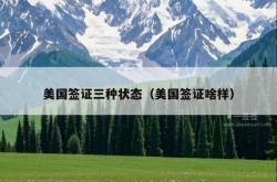 美国签证三种状态（美国签证啥样）