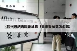 如何缴纳美国签证费（美签签证费怎么交）