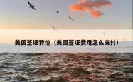 美国签证特价（美国签证费用怎么支付）