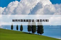 如何代取美国签证（美签代领）