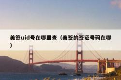 美签uid号在哪里查（美签的签证号码在哪）