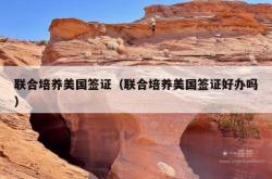 联合培养美国签证（联合培养美国签证好办吗）