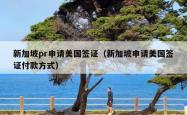新加坡pr申请美国签证（新加坡申请美国签证付款方式）