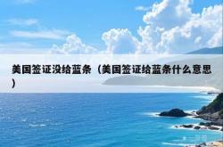 美国签证没给蓝条（美国签证给蓝条什么意思）