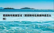 爱因斯坦美国签证（爱因斯坦在美国待遇怎么样）